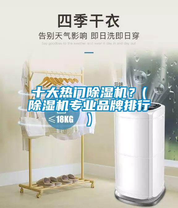 十大熱門除濕機？(除濕機專業(yè)品牌排行)