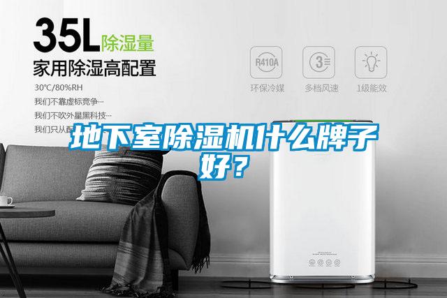 地下室除濕機什么牌子好？