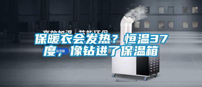 保暖衣會(huì)發(fā)熱？恒溫37度，像鉆進(jìn)了保溫箱