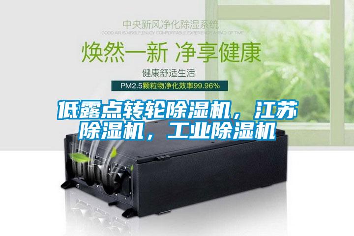 低露點轉(zhuǎn)輪除濕機，江蘇除濕機，工業(yè)除濕機