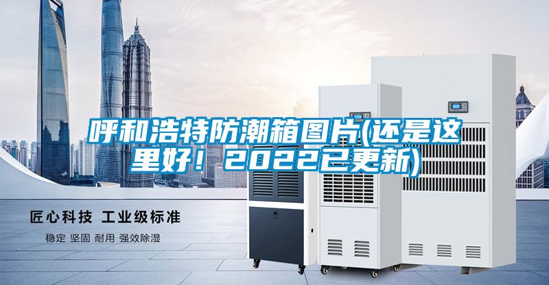呼和浩特防潮箱圖片(還是這里好！2022已更新)