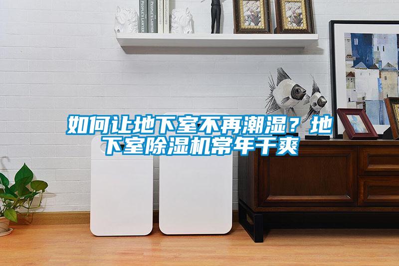 如何讓地下室不再潮濕？地下室除濕機常年干爽