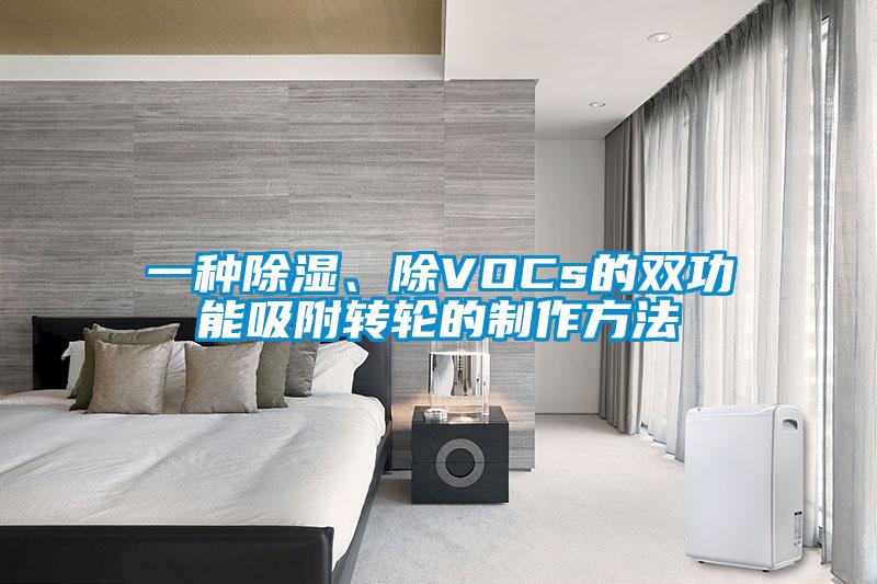一種除濕、除VOCs的雙功能吸附轉(zhuǎn)輪的制作方法