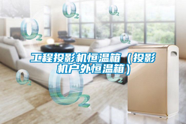 工程投影機(jī)恒溫箱（投影機(jī)戶(hù)外恒溫箱）
