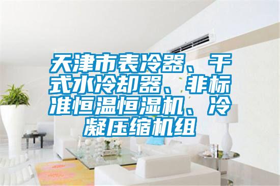 天津市表冷器、干式水冷卻器、非標(biāo)準(zhǔn)恒溫恒濕機(jī)、冷凝壓縮機(jī)組