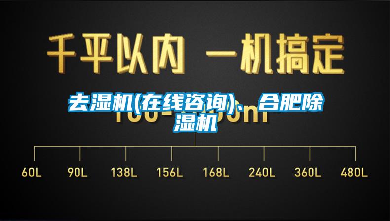 去濕機(在線咨詢)、合肥除濕機