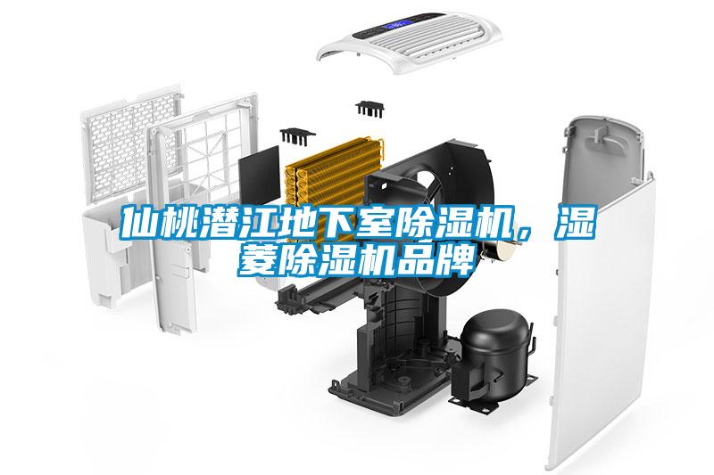 仙桃潛江地下室除濕機，濕菱除濕機品牌