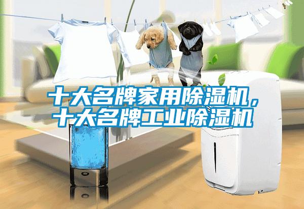 十大名牌家用除濕機(jī)，十大名牌工業(yè)除濕機(jī)