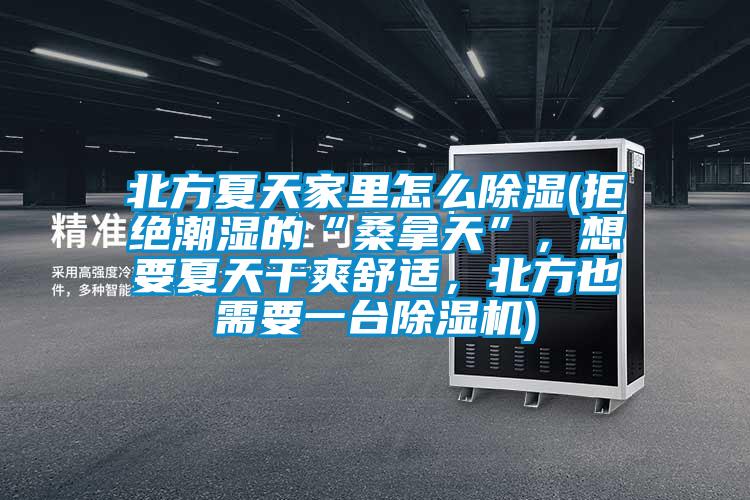 北方夏天家里怎么除濕(拒絕潮濕的“桑拿天”，想要夏天干爽舒適，北方也需要一臺除濕機)