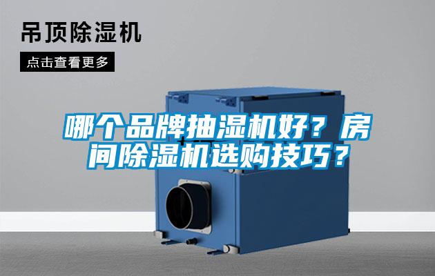 哪個(gè)品牌抽濕機(jī)好？房間除濕機(jī)選購技巧？