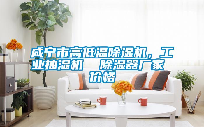 咸寧市高低溫除濕機，工業(yè)抽濕機  除濕器廠家 價格