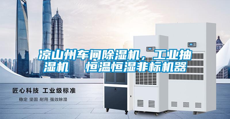 涼山州車間除濕機(jī)，工業(yè)抽濕機(jī)  恒溫恒濕非標(biāo)機(jī)器