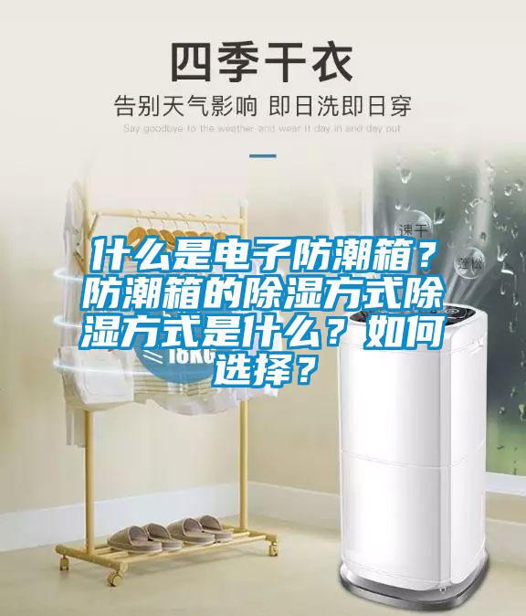 什么是電子防潮箱？防潮箱的除濕方式除濕方式是什么？如何選擇？