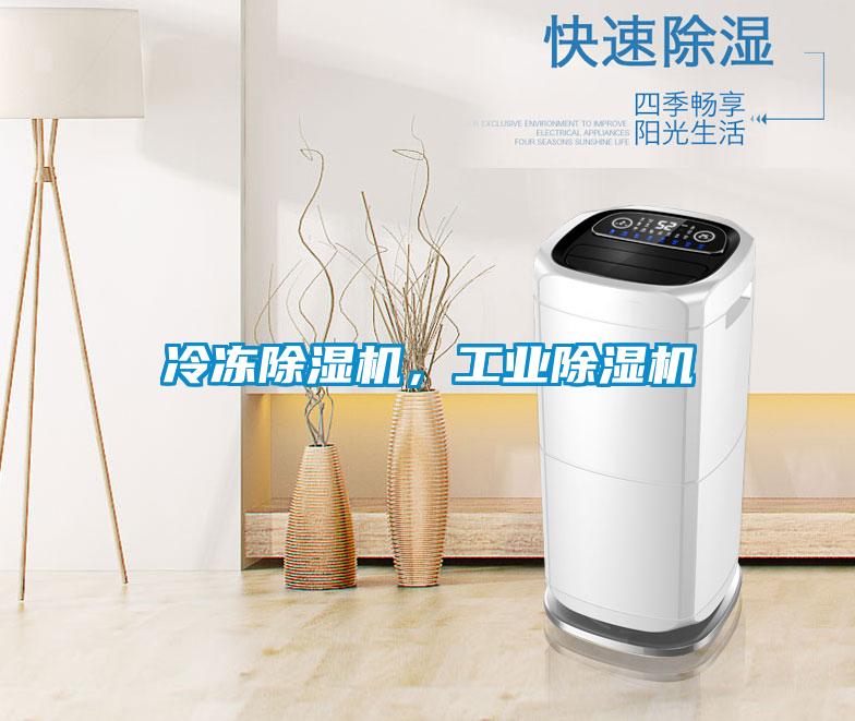 冷凍除濕機(jī)，工業(yè)除濕機(jī)