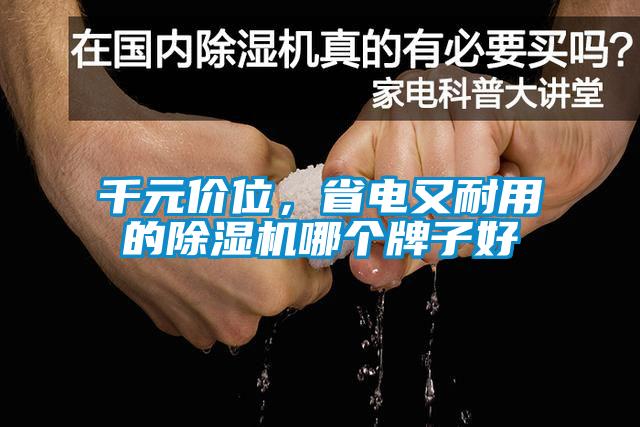 千元價(jià)位，省電又耐用的除濕機(jī)哪個(gè)牌子好