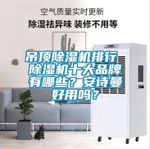 吊頂除濕機(jī)排行 除濕機(jī)十大品牌有哪些？安詩曼好用嗎？