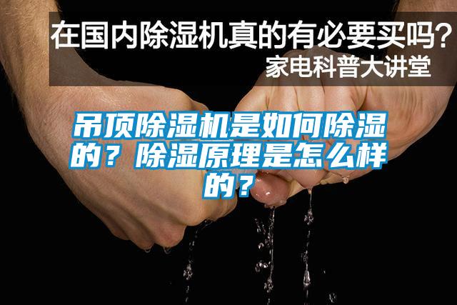 吊頂除濕機(jī)是如何除濕的？除濕原理是怎么樣的？
