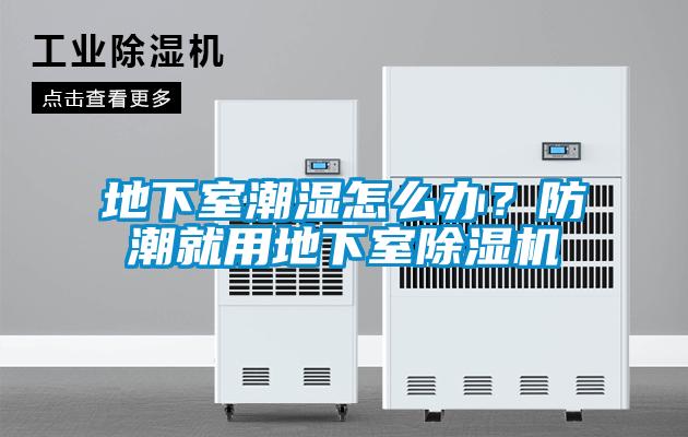地下室潮濕怎么辦？防潮就用地下室除濕機(jī)