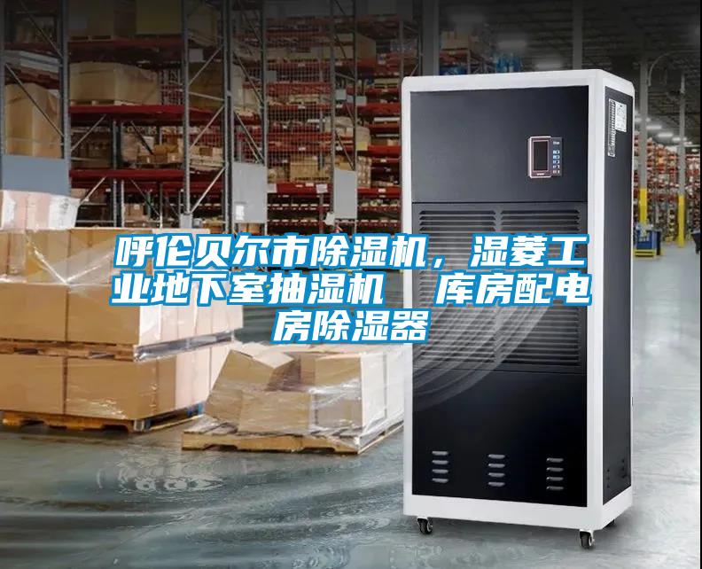 呼倫貝爾市除濕機(jī)，濕菱工業(yè)地下室抽濕機(jī)  庫(kù)房配電房除濕器