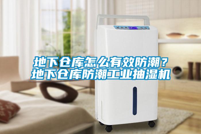 地下倉庫怎么有效防潮？地下倉庫防潮工業(yè)抽濕機(jī)