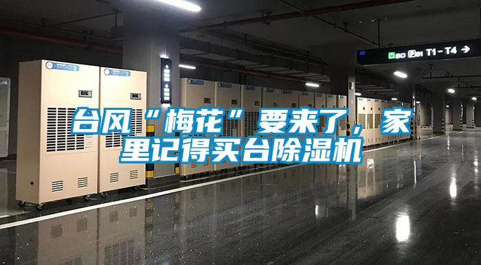 臺風“梅花”要來了，家里記得買臺除濕機