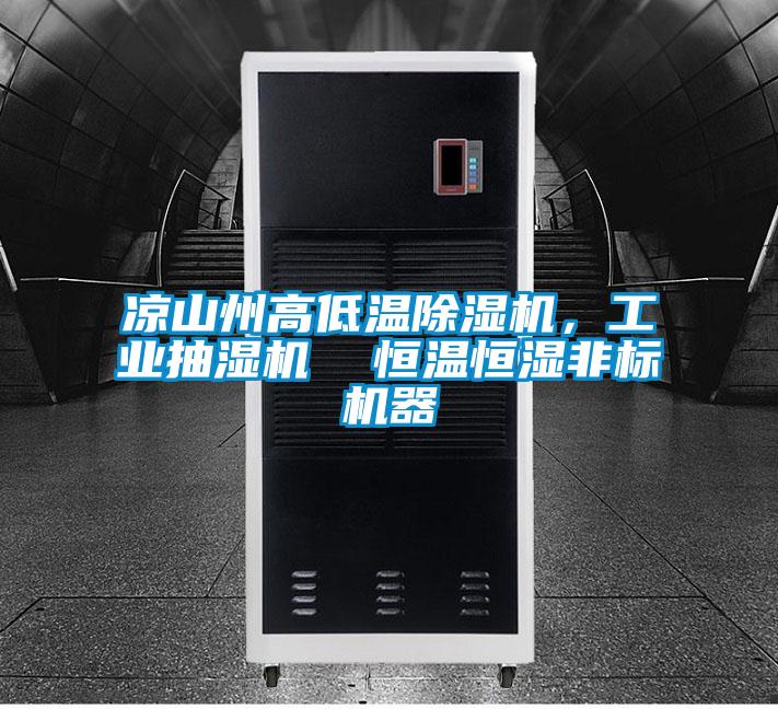 涼山州高低溫除濕機(jī)，工業(yè)抽濕機(jī)  恒溫恒濕非標(biāo)機(jī)器