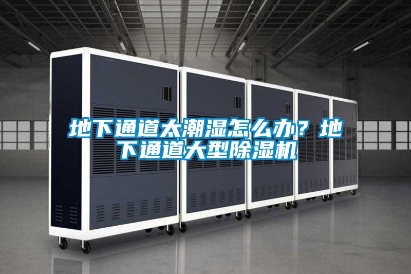 地下通道太潮濕怎么辦？地下通道大型除濕機