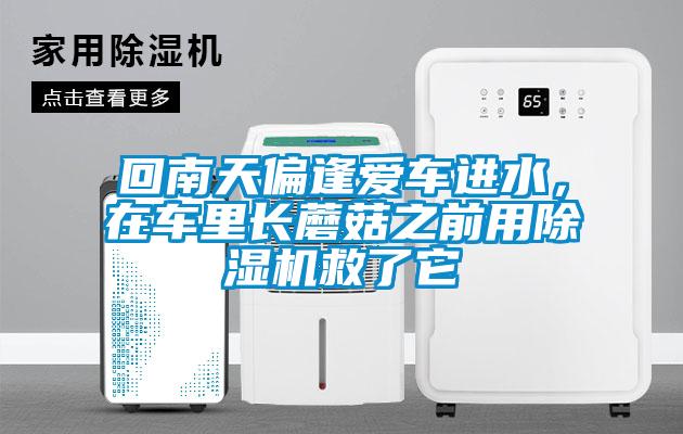 回南天偏逢愛(ài)車進(jìn)水，在車?yán)镩L(zhǎng)蘑菇之前用除濕機(jī)救了它