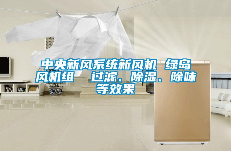 中央新風(fēng)系統(tǒng)新風(fēng)機(jī) 綠島風(fēng)機(jī)組  過濾、除濕、除味等效果