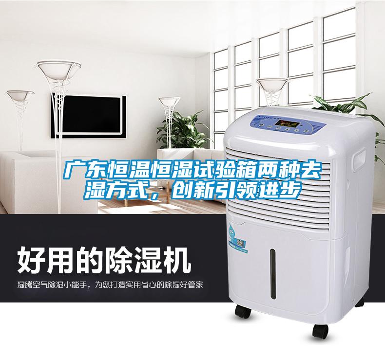 廣東恒溫恒濕試驗箱兩種去濕方式，創(chuàng)新引領(lǐng)進步
