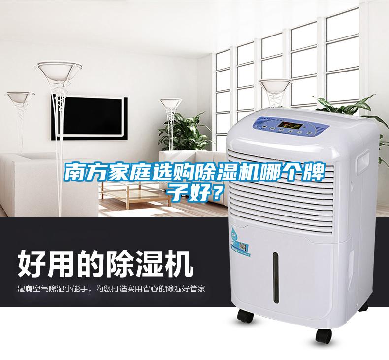 南方家庭選購除濕機(jī)哪個牌子好？