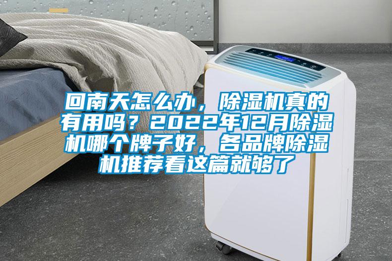 回南天怎么辦，除濕機(jī)真的有用嗎？2022年12月除濕機(jī)哪個牌子好，各品牌除濕機(jī)推薦看這篇就夠了