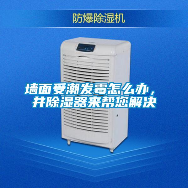 墻面受潮發(fā)霉怎么辦，東井除濕器來幫您解決