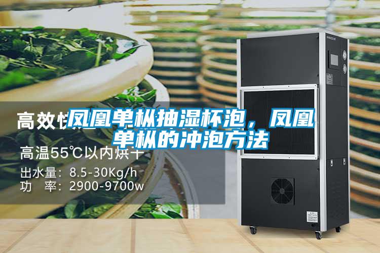 鳳凰單樅抽濕杯泡，鳳凰單樅的沖泡方法