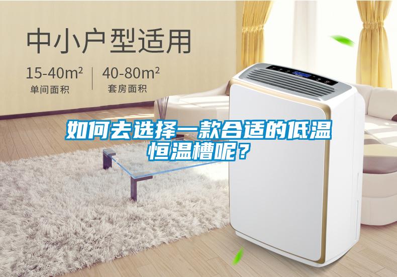 如何去選擇一款合適的低溫恒溫槽呢？