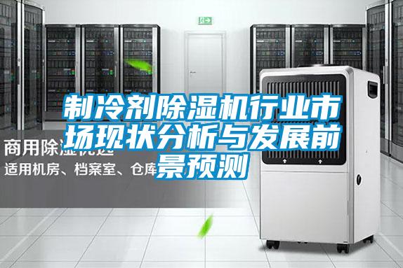 制冷劑除濕機(jī)行業(yè)市場現(xiàn)狀分析與發(fā)展前景預(yù)測(cè)