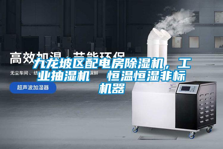 九龍坡區(qū)配電房除濕機(jī)，工業(yè)抽濕機(jī)  恒溫恒濕非標(biāo)機(jī)器