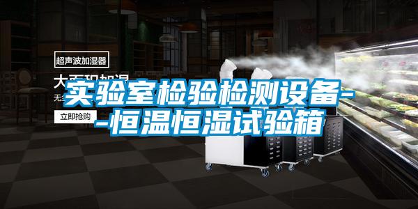 實(shí)驗(yàn)室檢驗(yàn)檢測設(shè)備--恒溫恒濕試驗(yàn)箱