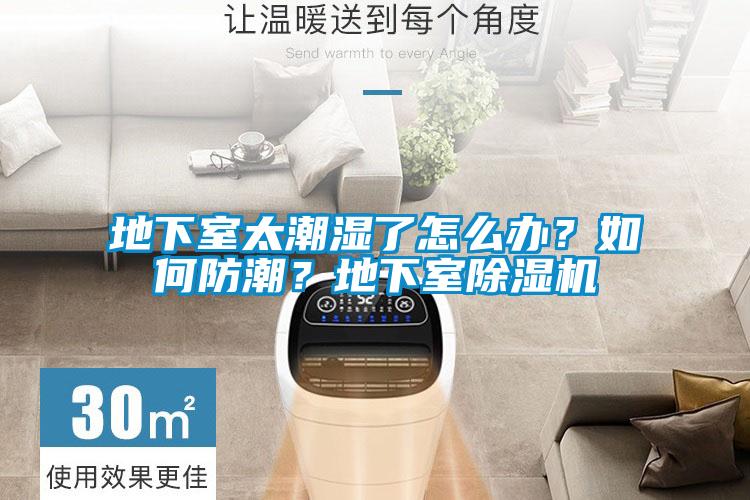 地下室太潮濕了怎么辦？如何防潮？地下室除濕機
