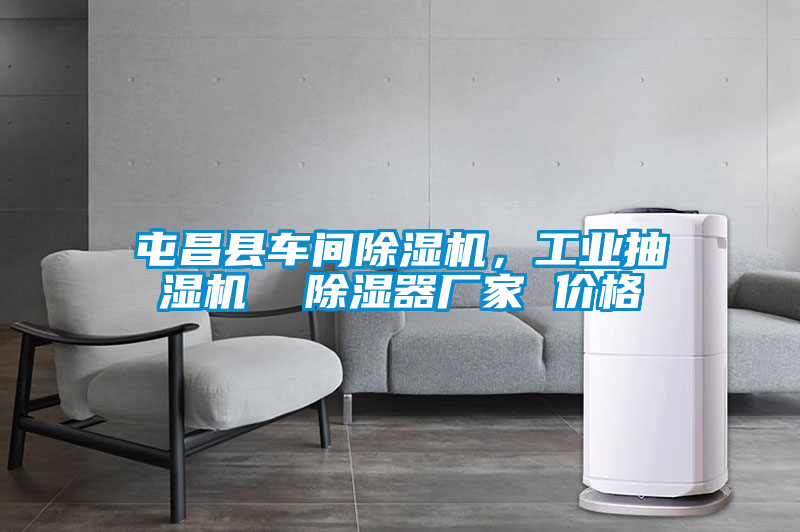 屯昌縣車間除濕機，工業(yè)抽濕機  除濕器廠家 價格