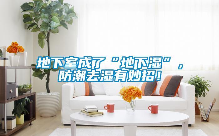 地下室成了“地下濕”，防潮去濕有妙招！
