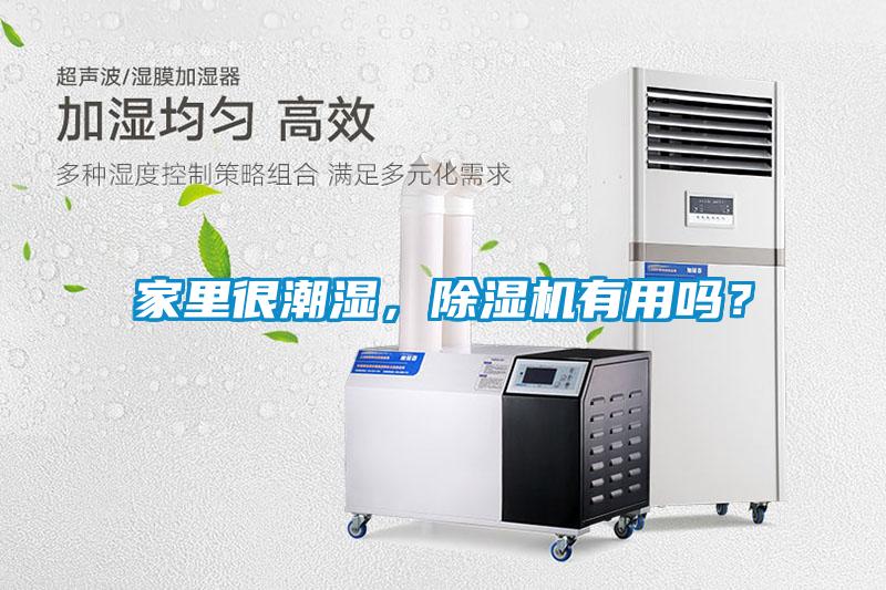 家里很潮濕，除濕機(jī)有用嗎？