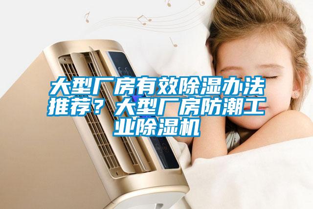 大型廠房有效除濕辦法推薦？大型廠房防潮工業(yè)除濕機(jī)