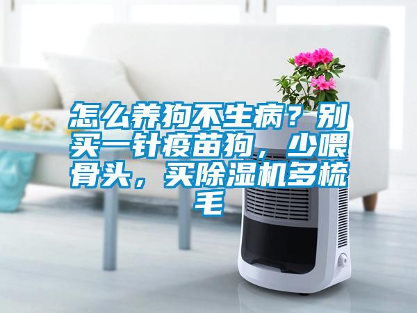 怎么養(yǎng)狗不生??？別買(mǎi)一針疫苗狗，少喂骨頭，買(mǎi)除濕機(jī)多梳毛