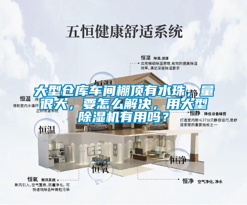 大型倉庫車間棚頂有水珠，量很大，要怎么解決，用大型除濕機有用嗎？