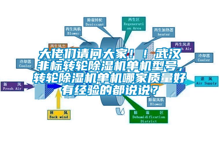 大佬們請(qǐng)問(wèn)大家?。∥錆h非標(biāo)轉(zhuǎn)輪除濕機(jī)單機(jī)型號(hào)，轉(zhuǎn)輪除濕機(jī)單機(jī)哪家質(zhì)量好有經(jīng)驗(yàn)的都說(shuō)說(shuō)？