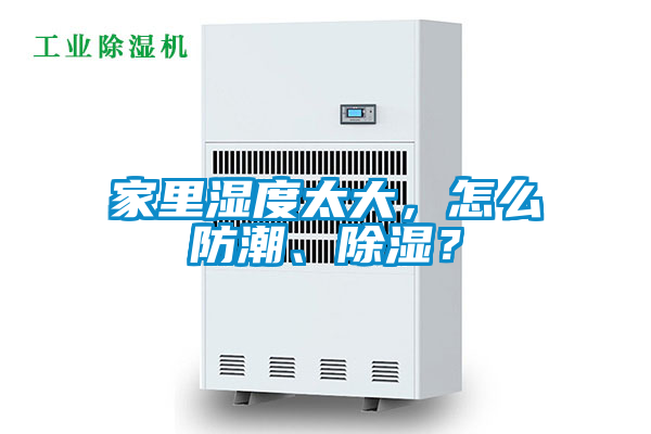 家里濕度太大，怎么防潮、除濕？