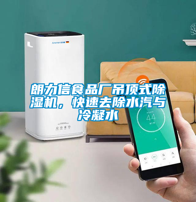 朗力信食品廠吊頂式除濕機(jī)，快速去除水汽與冷凝水