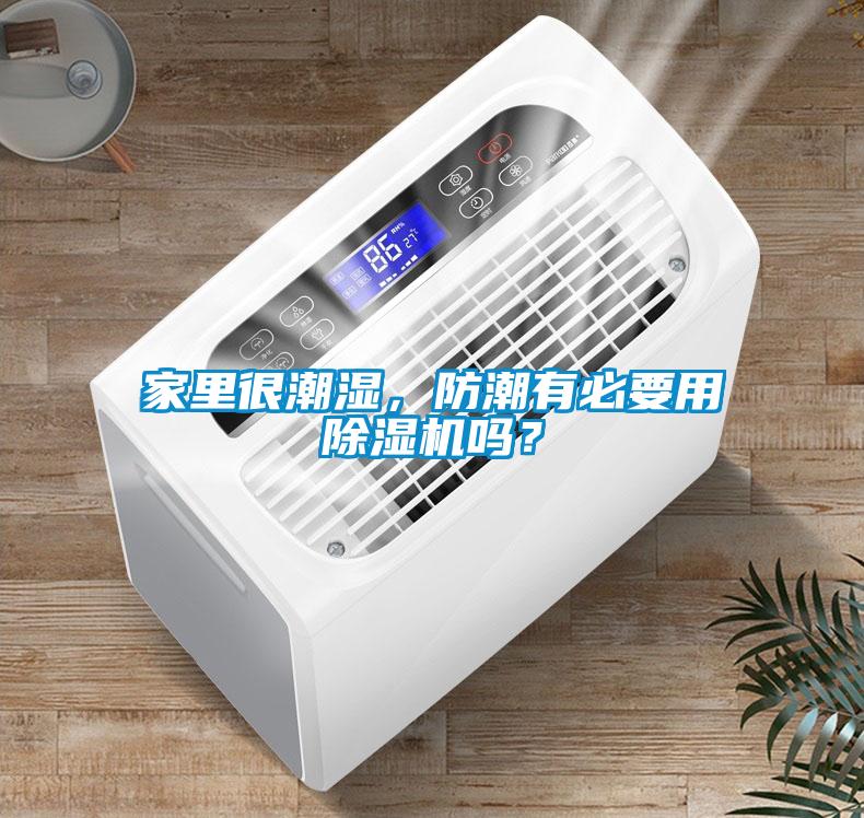 家里很潮濕，防潮有必要用除濕機(jī)嗎？
