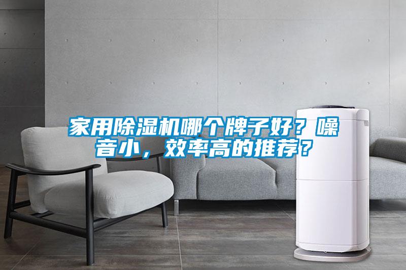家用除濕機(jī)哪個(gè)牌子好？噪音小，效率高的推薦？